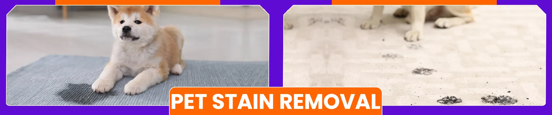 carpet cleaning in bronx, carpet cleaning in bronx, carpet cleaning bronx, carpet cleaners in bronx, carpet cleaners in bronx, commercial carpet cleaning, commercial carpet cleaning in bronx, bronx rug cleaners, rug cleaning services in bronx, same day carpet cleaning, same day rug cleaning