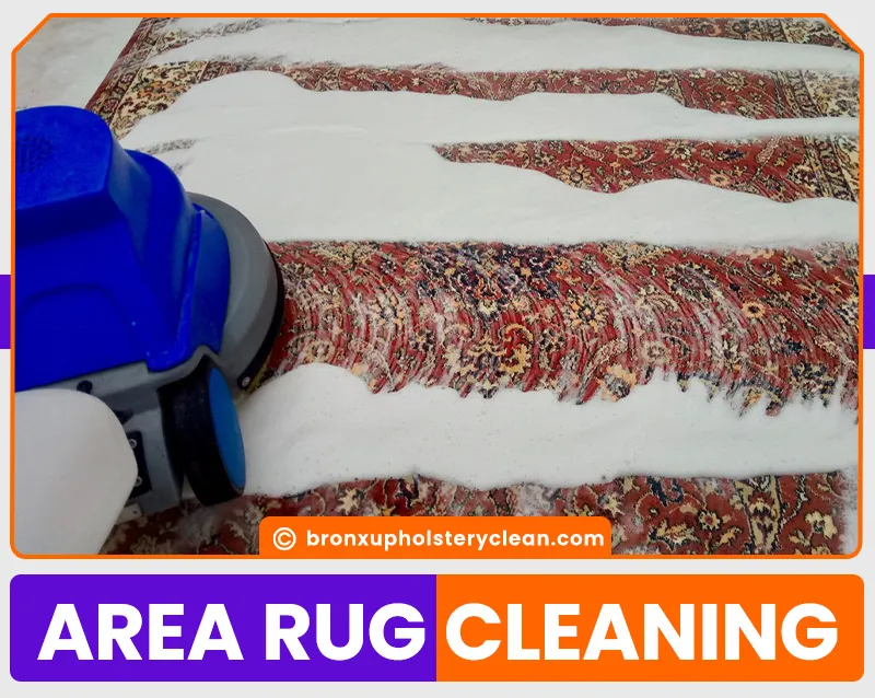 carpet cleaning in bronx, carpet cleaning in new york, carpet cleaning bronx, carpet cleaners in bronx, carpet cleaners in new york, commercial carpet cleaning, commercial carpet cleaning in bronx, bronx rug cleaners, rug cleaning services in bronx, same day carpet cleaning, same day rug cleaning