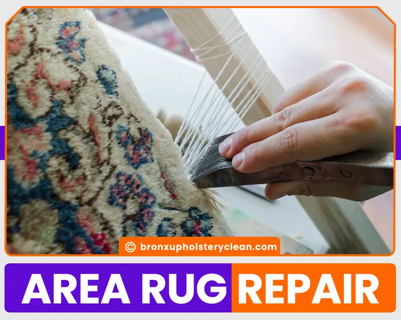 carpet cleaning in bronx, carpet cleaning in new york, carpet cleaning bronx, carpet cleaners in bronx, carpet cleaners in new york, commercial carpet cleaning, commercial carpet cleaning in bronx, bronx rug cleaners, rug cleaning services in bronx, same day carpet cleaning, same day rug cleaning