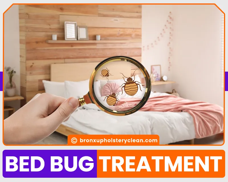 carpet cleaning in bronx, carpet cleaning in new york, carpet cleaning bronx, carpet cleaners in bronx, carpet cleaners in new york, commercial carpet cleaning, commercial carpet cleaning in bronx, bronx rug cleaners, rug cleaning services in bronx, same day carpet cleaning, same day rug cleaning